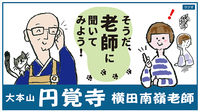 老師に聞いてみよう